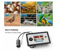 Termostato incubatore intelligente avanzato 12 V per uova di pollo e quaglia