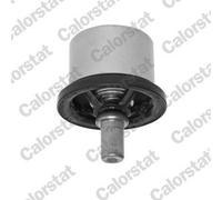Termostato, liquido di raffreddamento CALORSTAT BY VERNET per F10 9.6 1987-1990