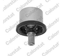 Termostato, liquido di raffreddamento CALORSTAT BY VERNET per F10 9.6 1990-1994