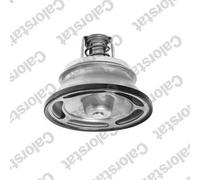 Termostato, liquido di raffreddamento CALORSTAT BY VERNET per FM 9.364 2005-