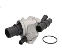 Termostato, liquido di raffreddamento CALORSTAT BY VERNET PUNTO (188_) 1.9 1999-