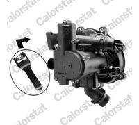 Termostato, liquido di raffreddamento CALORSTAT BY VERNET Q5 (8RB) 2 2009-2017