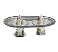 Termostato, liquido di raffreddamento DT SPARE PARTS 1.11407 per S 12.742 2016-
