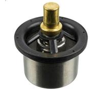 Termostato, liquido di raffreddamento FEBI 173719 per DAF CF 6.69 2014-