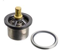 Termostato, liquido di raffreddamento FEBI 176650 per DAF CF 6.69 2014-