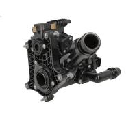 Termostato, liquido di raffreddamento FEBI 186475 per 7 (G11, G12) 3 2016-2019