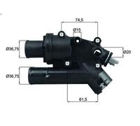 Termostato, liquido di raffreddamento MAHLE TH 46 83 per C6 (TD_) 2.2 2006-2010