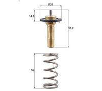 Termostato, liquido di raffreddamento MAHLE TX 265 89D FOCUS III 1.6 2010-2014