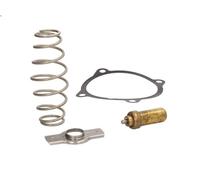 Termostato, liquido di raffreddamento MAHLE TX 51 79D per EUROSTAR 10.308 1993-