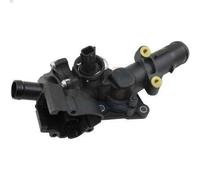 Termostato, liquido di raffreddamento MEAT & DORIA 92866 JUKE (F15) 1.5 2010-