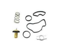 Termostato, liquido di raffreddamento MOTORAD 1105-88K