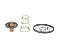 Termostato, liquido di raffreddamento MOTORAD 724-95K per WRANGLER III 3.6 2011-