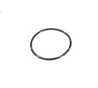 Termostato, liquido di raffreddamento NRF 725005 per BMW 5 (E39) 3.5 1996-1998
