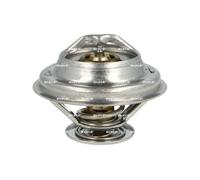 Termostato, refrigerante NRF 725063 per AUDI A3 (8P1) 3.2 2003-2009