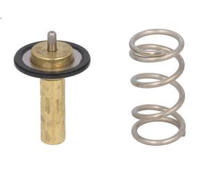 Termostato, liquido di raffreddamento NRF 725069 VOLVO C30 (533) 2 2010-2012