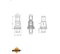 Termostato, liquido di raffreddamento NRF 725166 AUDI A3 (8P1) 2 2004-2012