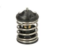 Termostato, liquido di raffreddamento NRF 725220 BMW 1 (E87) 2 2007-2011