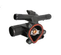 Termostato, liquido di raffreddamento per NV400 Autobus (X62, X62B) 2.3 2011-