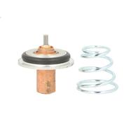 Termostato, liquido di raffreddamento THERMOTEC D2R002TT per KANGOO 1.9 1997-