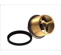 Termostato, liquido di raffreddamento THERMOTEC D2RV001TT per G 6.177 1990-1991