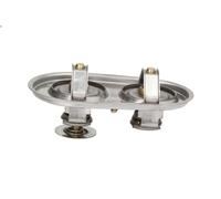 Termostato, liquido di raffreddamento THERMOTEC D2SC009TT per T 15.607 2004-