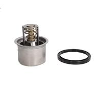 Termostato, refrigerante THERMOTEC D2RV004TT