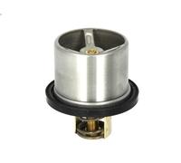Termostato, liquido di raffreddamento WAHLER 4619.82 per DAF 75 8.661 1992-1998