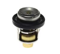 Termostato Liquido Raffreddamento Termostato Liquido Refrigerante Motore Dei Veicoli Parte 17670-87J00 Compatibile Con Suzuki Per DF70 DF70W-K9 1998-2009 Per DF40