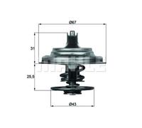 Termostato MAHLE Refrigerante Con Guarnizione 83°C TX 23 83D
