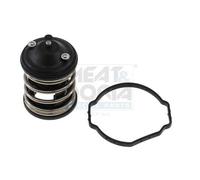 Termostato MEAT & DORIA per Bmw, Mini, Toyota