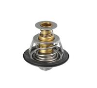 Termostato motore Compatibile Con Buick Per Rendezvous 2002-2007 Per Skylark 1994-1998 24507563/3091114/10226109 Auto Motore Liquido Di Raffreddamento Termostato