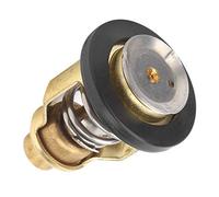 Termostato Motore Fuorbordo, Componenti Motore Termostato Fuoribordo, Sostituzione Termostato, Adatto per Motore Fuoribordo F75 F80 F90