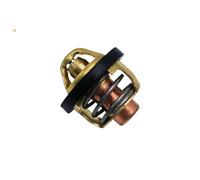 Termostato per CF500 x5 ATV UTV con codice CF 0180-022810 Compatibile con Linhai 500 22901 35171 1BE-12411-00 CF196 adatta a 520 625i M550L T-Boss 550 di raffreddamento motore 550