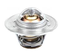 Termostato Per Custodia IH 3210 3220 3230 4210 4220 4230 4240 Trattori