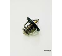 Termostato Per HYUNDAI H -1 2.4 PETROL 2008+ CTM/HY/007A