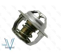 Termostato per Massey Ferguson FE35 TE20 TEA20 TED20 TEF20 20 T20 TEA TE 135 ...