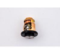 Termostato per motore fuoribordo Yamaha Selva codice 66M124110100