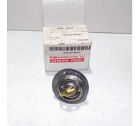 TERMOSTATO PER PIAGGIO PORTER 1000 BENZINA (1634187795000)