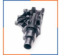 Termostato con alloggiamento 20SKV073 ESEN SKV per RENAULT MEGANE II SCÉNIC II
