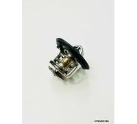Termostato Per ROVER 400 II 416 PETROL 1990-2000 CTM/LR/018A