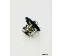 Termostato Per ROVER 600 I (RH) 618 / 620 / 623 PETROL 1993-1999 CTM/LR/019A