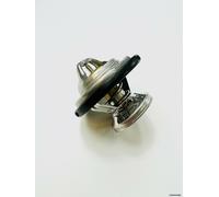 Termostato Per SSANGYONG RODIUS I DIESEL 2005+ CTM/DW/008A