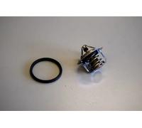 WAHLER Termostato motore