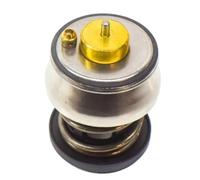 Termostato Raffreddamento Compatibile Con BMW Per X1 F48 SDrive Per XDrive 20d 2015 2016 2017 2018 2019 2020 2021 2022 Termostato Del Liquido Di Raffreddamento Motore 11518588945