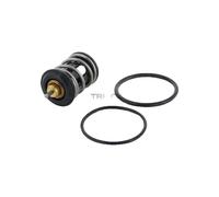 Termostato Refrigerante 105°C TRISCAN Iam-Expertise Adatto A per U.a. VW Golf