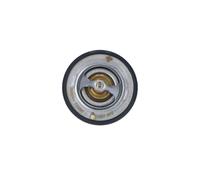 Termostato, refrigerante NRF 725087