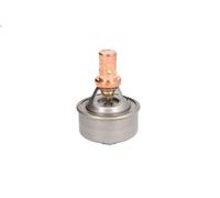 Termostato, refrigerante CALORSTAT BY VERNET TH4495.75