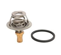 Termostato, refrigerante CALORSTAT BY VERNET TH5284.91J