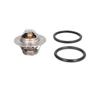 Termostato, refrigerante COLORSTAT BY VERNET TH6045.83J