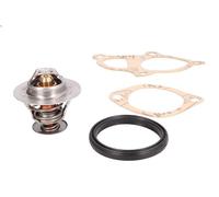 Termostato, refrigerante CALORSTAT BY VERNET TH6294.88J per TUCSON (JM) 2 2007-